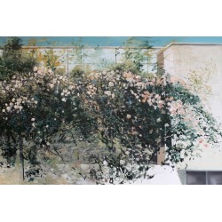 Tufa de trandafiri 1 - pictură în ulei pe pânză, artist Cristian Porumb